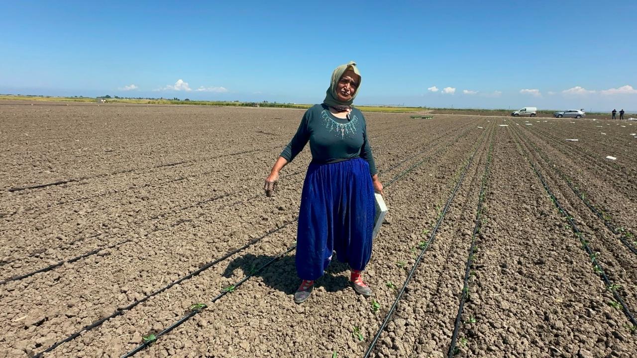 BELİNDEKİ 8 PLATİNLE TARLADA EKMEĞİNİ KAZANIYOR