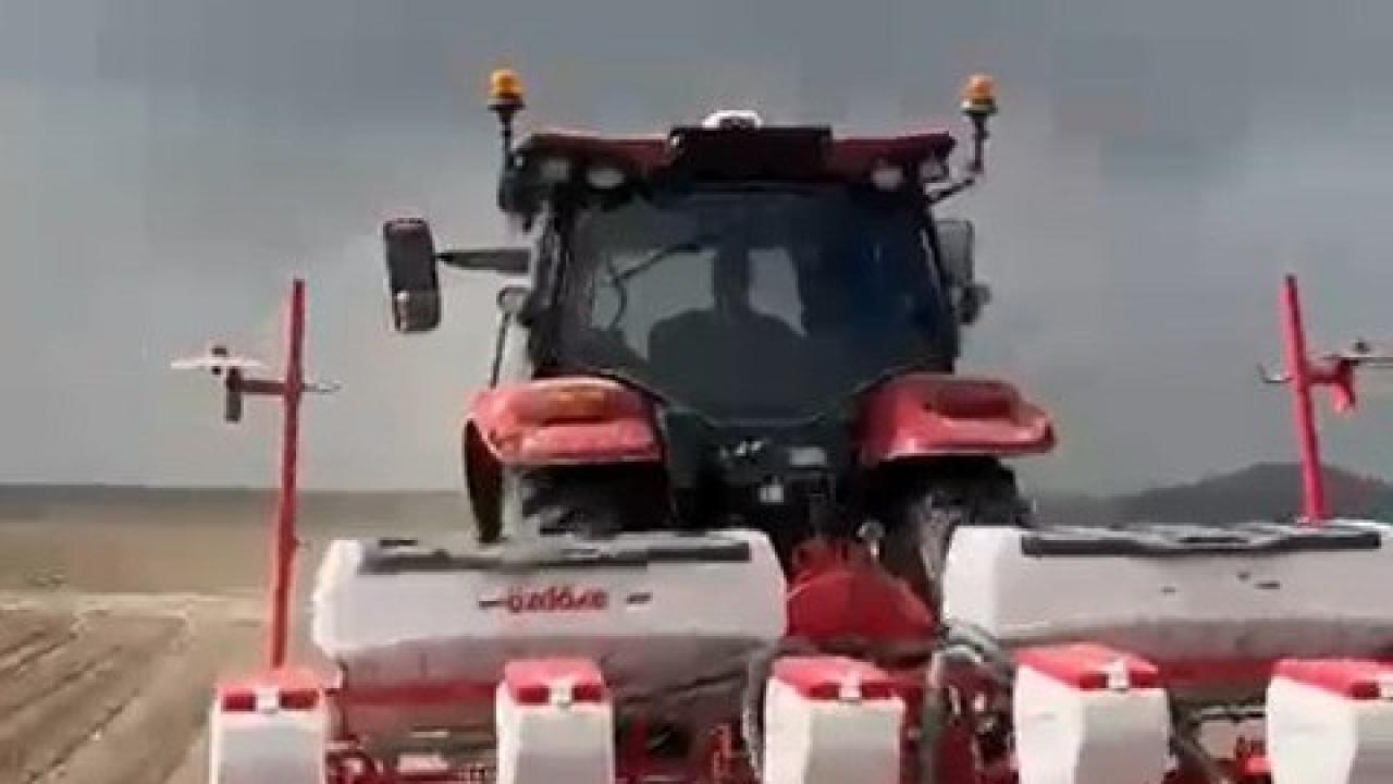 KABAK ÇEKİRDEĞİ EKİM SEZONU BAŞLADI