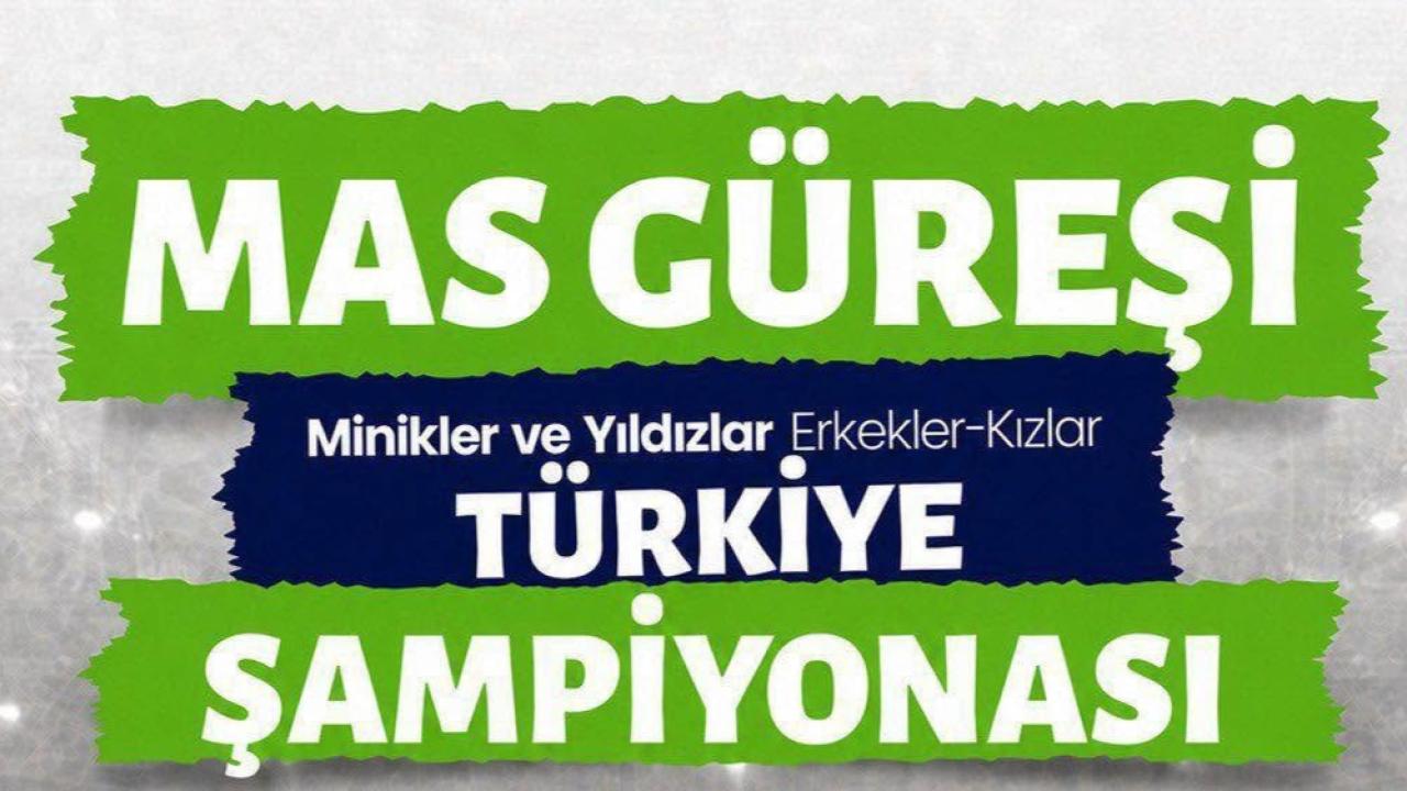 Otomatik Taslak