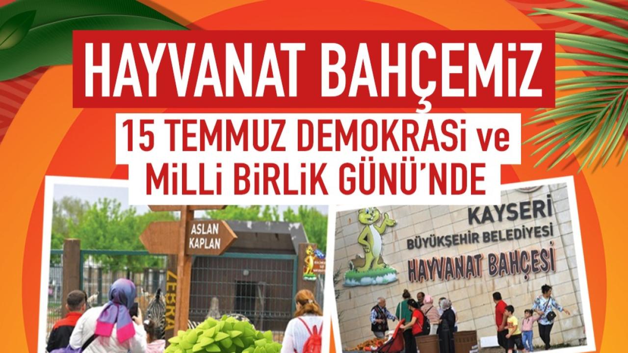 Otomatik Taslak