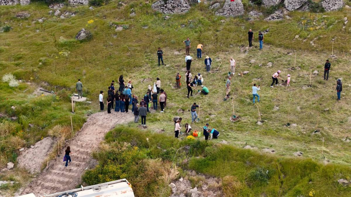 BÜYÜKŞEHİR, 300 FİDANI TOPRAKLA BULUŞTURDU