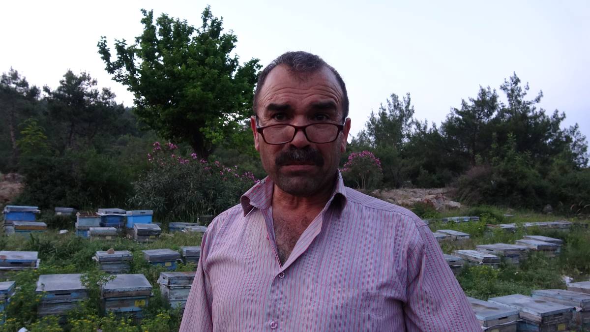 ARICILARIN YAYLA YOLCULUĞU BAŞLADI