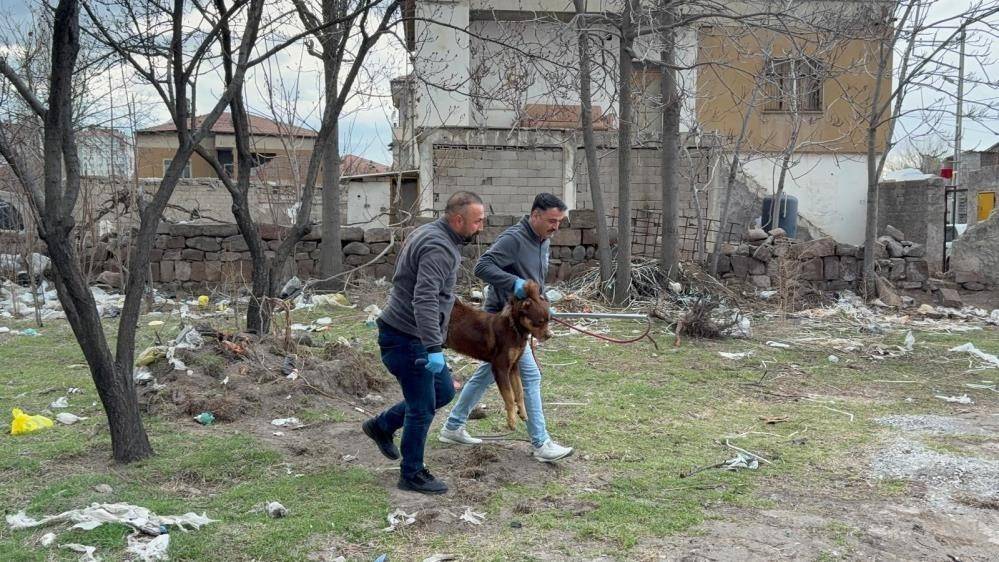 BELEDİYELER VE VALİLİKLER DE SORUMLU