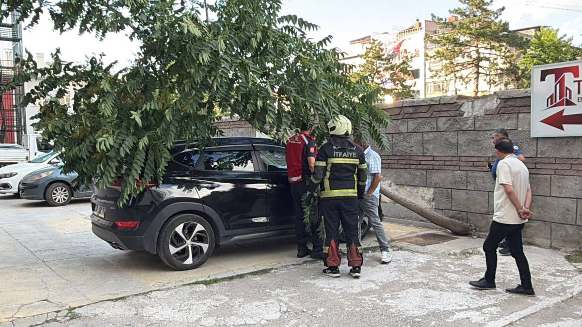 AĞAÇ ARACIN ÜZERİNE DEVRİLDİ