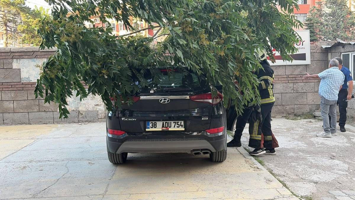 AĞAÇ ARACIN ÜZERİNE DEVRİLDİ