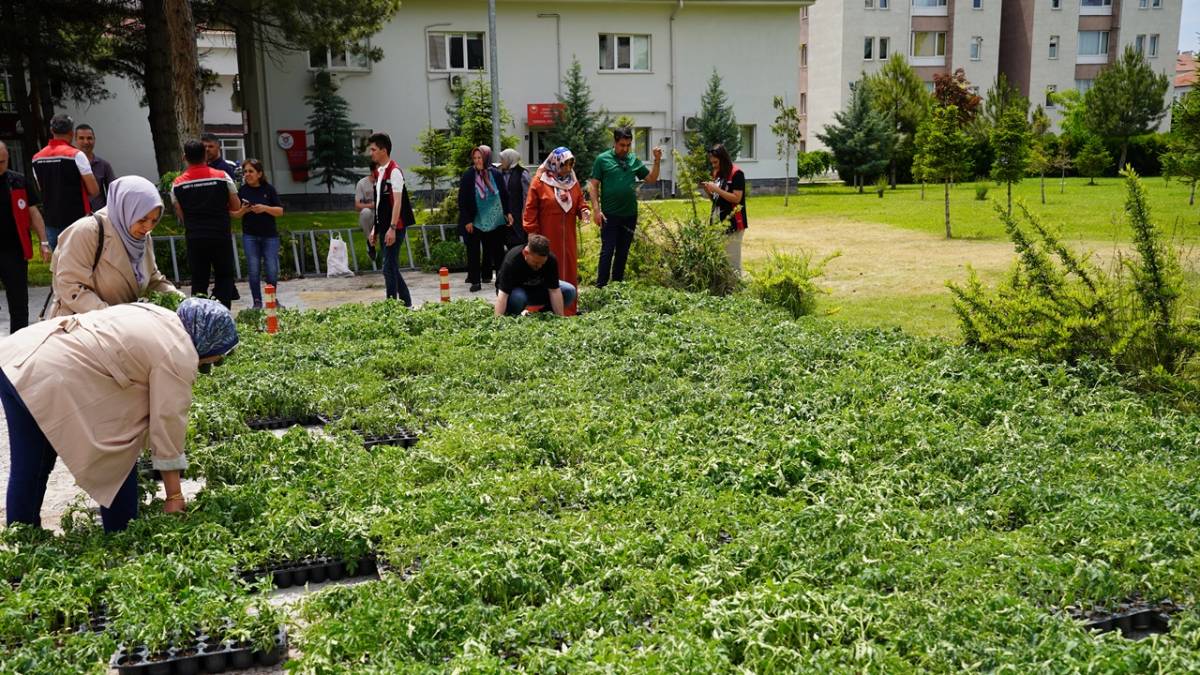 KTB'DEN 30 BİN FİDELİK DEV DESTEK