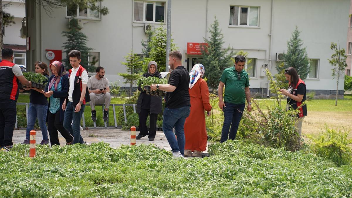 KTB'DEN 30 BİN FİDELİK DEV DESTEK