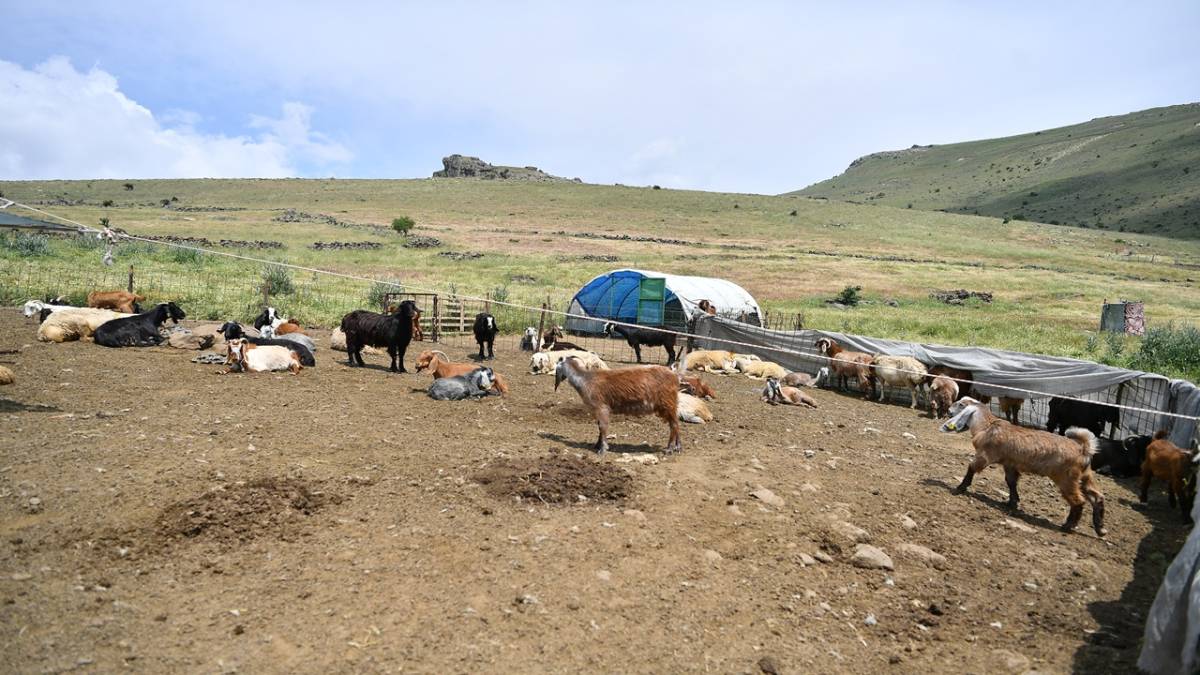 BAŞKAN BÜYÜKKILIÇ’TAN HAYVANCILIĞA CAN SUYU